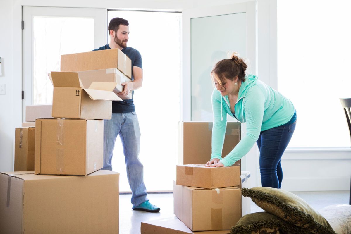 Top-Rated Legal Consultants and Packers & Movers in Delhi